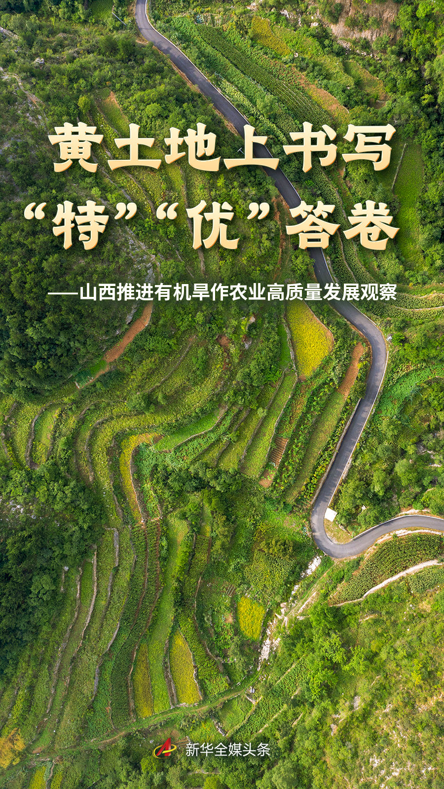 fb体育以智能互动体验，尽享游戏乐趣为核心，带来高效便捷的体验。 - fb体育
